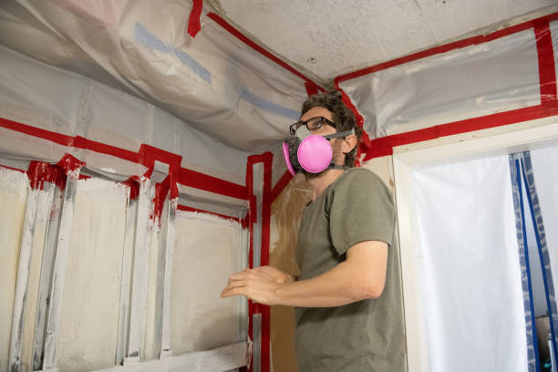 Best Basement Mold Removal  in Nixa, MO