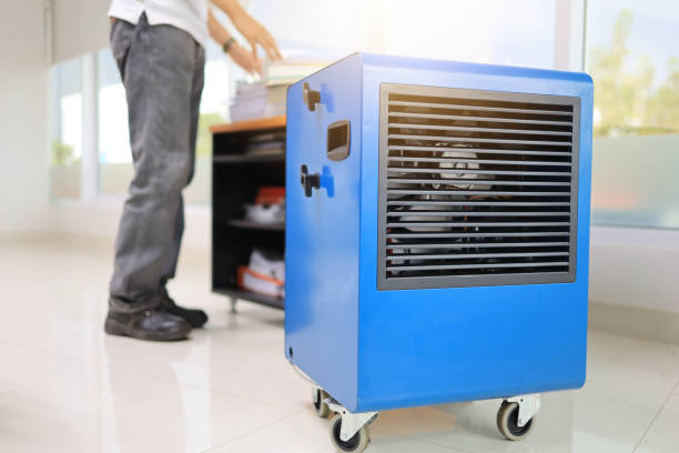 Best Mold Damage Restoration  in Nixa, MO